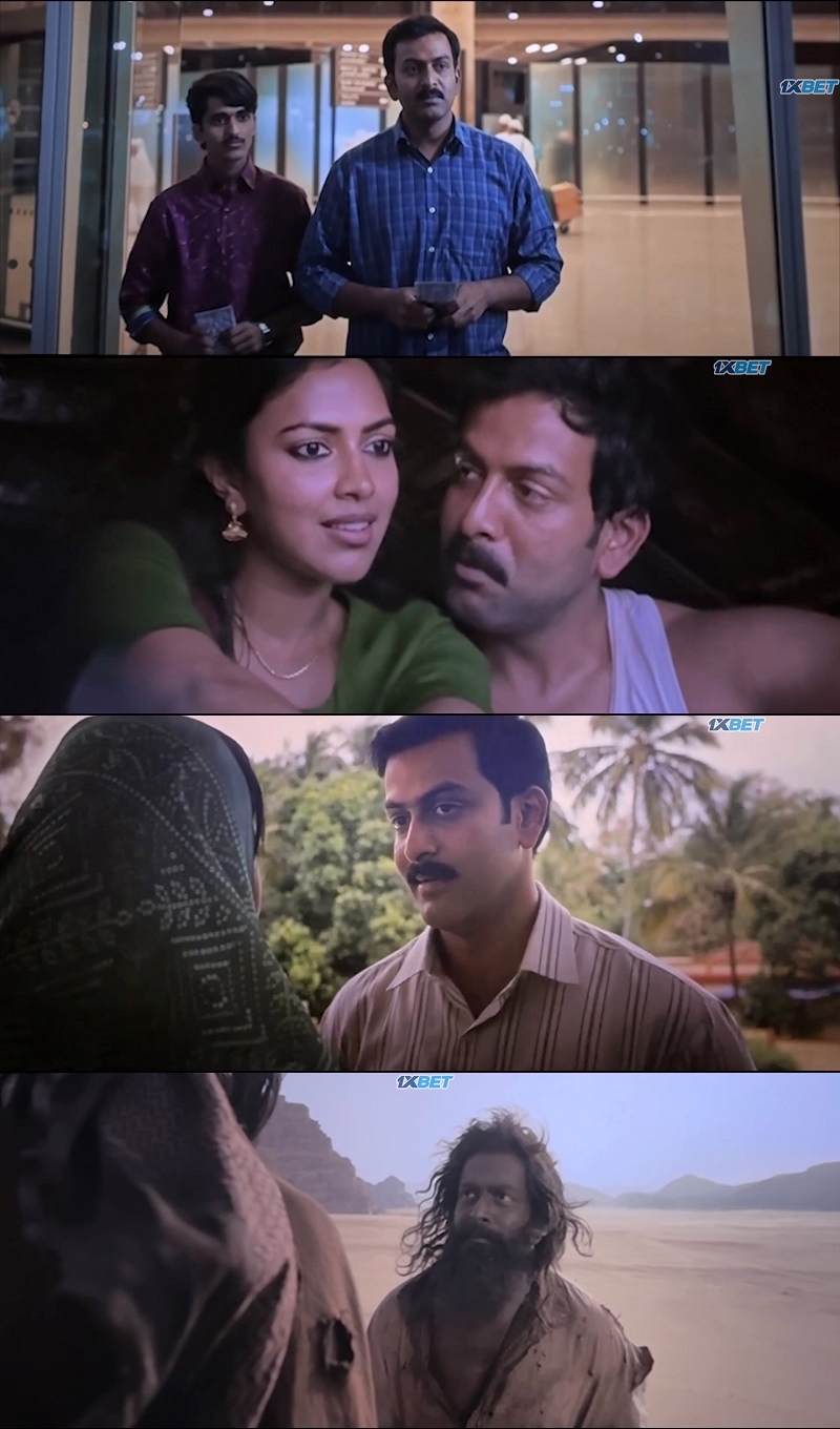 Patna Shuklla (2024) [Hindi] 480p 720p 1080p