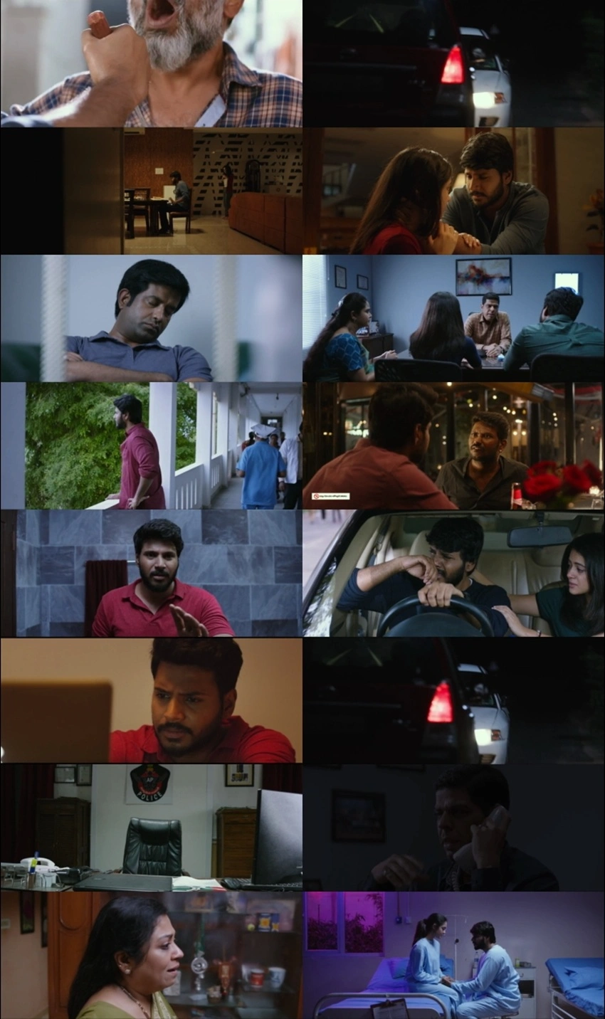Download Ninu Veedani Needanu Nene (2019) Hindi ORG DD5.1 & Tamil WEB-DL 480p 720p 1080p