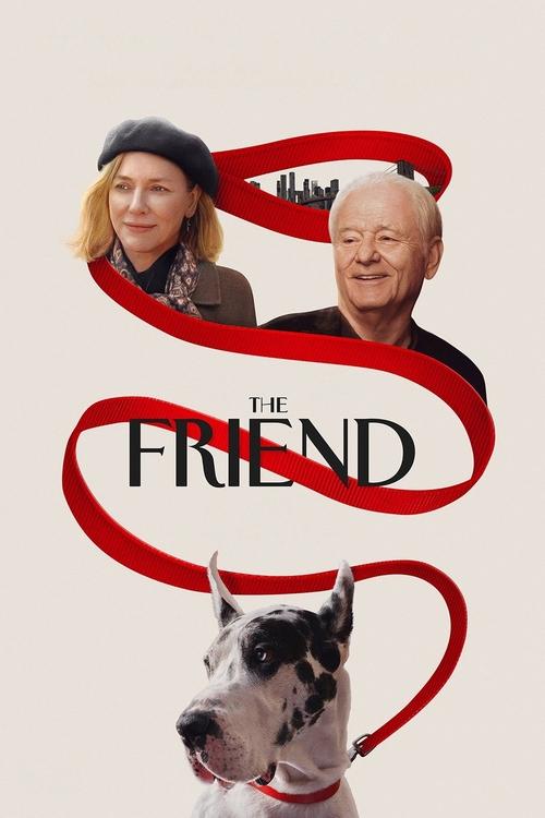 Download The Friend (2025) Hindi-English WEB-DL 480p 720p 1080p
